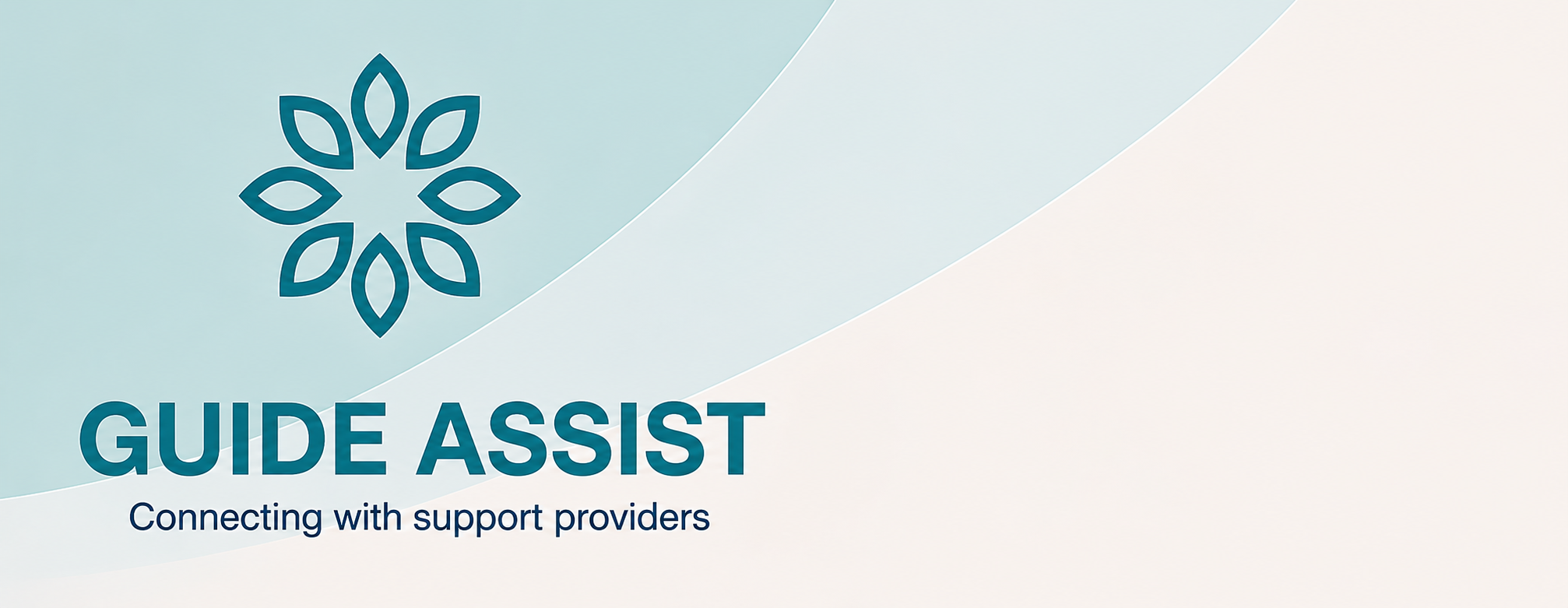 Guide Assist banner